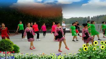 花之恋广场舞视频,舞动青春，绽放活力