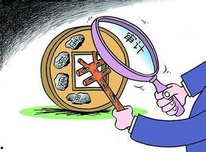 审计教学视频,理论与实践相结合的深度解析