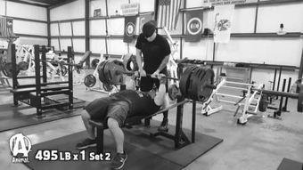 训练视频,训练过程全解析