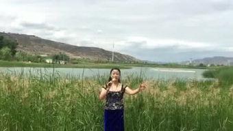 梦中的兰花花视频,穿越时空的美丽邂逅