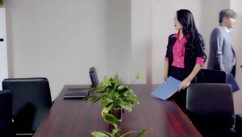 办公室老板要了我视频,揭秘办公室高效沟通之道