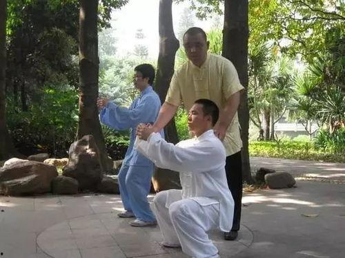 郑子太极拳视频,传承经典，领略太极拳之美